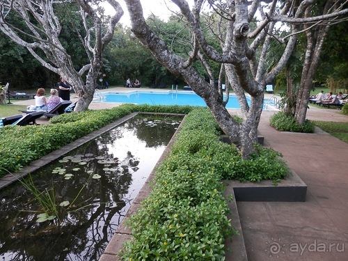 Шри-Ланка - первые впечатления