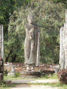 Шри-Ланка - первые впечатления