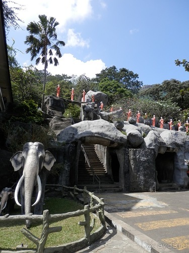 Шри-Ланка - первые впечатления