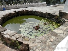 Шри-Ланка - первые впечатления