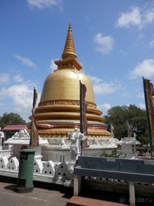 Шри-Ланка - первые впечатления