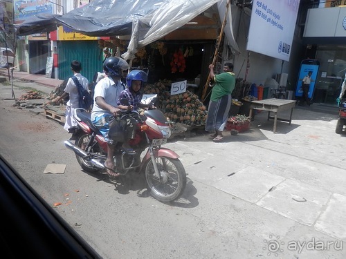 Шри-Ланка - первые впечатления