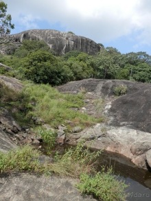 Шри-Ланка - первые впечатления