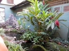 Шри-Ланка - первые впечатления