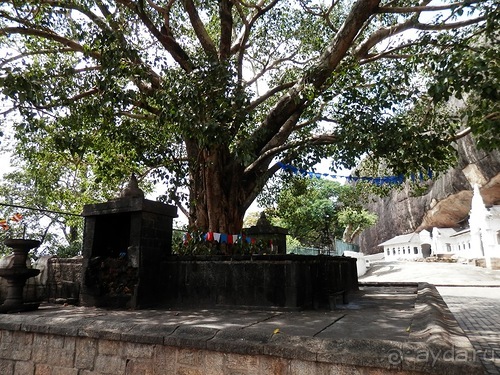 Шри-Ланка - первые впечатления