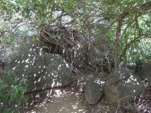 Шри-Ланка - первые впечатления