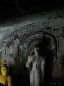 Шри-Ланка - первые впечатления