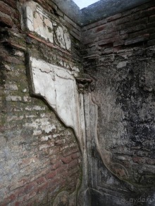 Шри-Ланка - первые впечатления