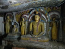 Шри-Ланка - первые впечатления