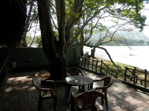 Шри-Ланка - первые впечатления