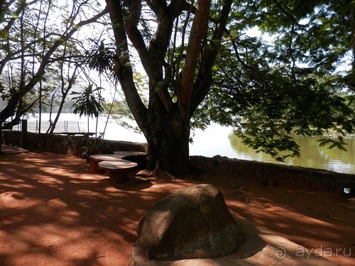 Шри-Ланка - первые впечатления