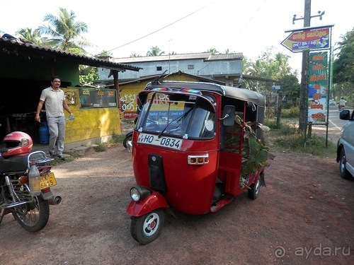 Шри-Ланка - первые впечатления