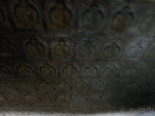 Шри-Ланка - первые впечатления