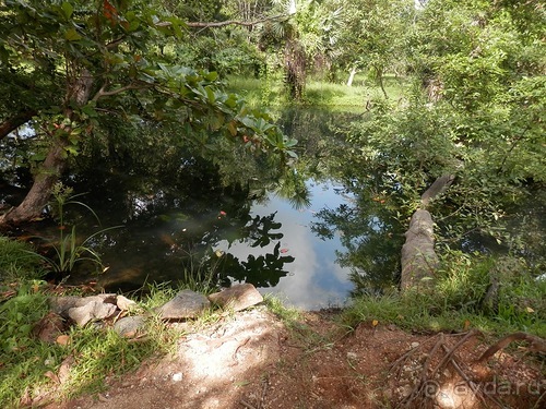 Шри-Ланка - первые впечатления