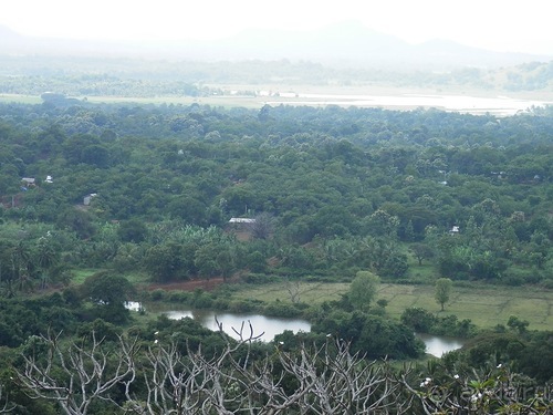 Шри-Ланка - первые впечатления