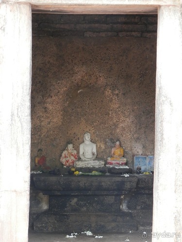 Шри-Ланка - первые впечатления