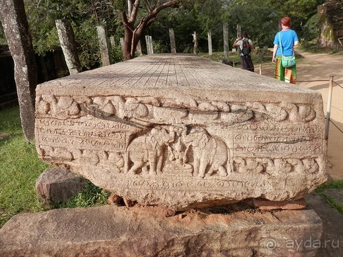 Шри-Ланка - первые впечатления