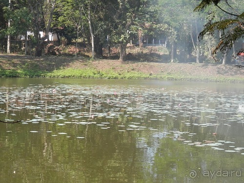 Шри-Ланка - первые впечатления