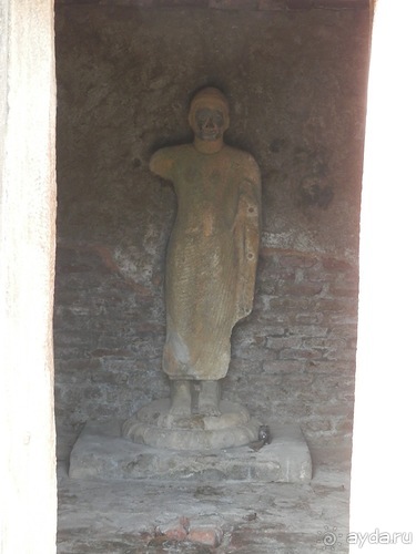 Шри-Ланка - первые впечатления