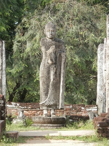 Шри-Ланка - первые впечатления