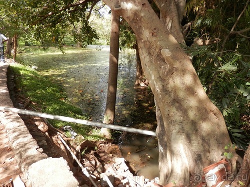 Шри-Ланка - первые впечатления