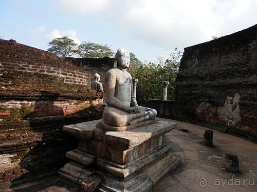 Шри-Ланка - первые впечатления