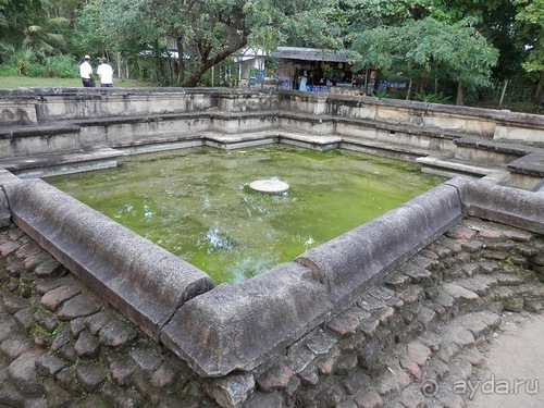 Шри-Ланка - первые впечатления