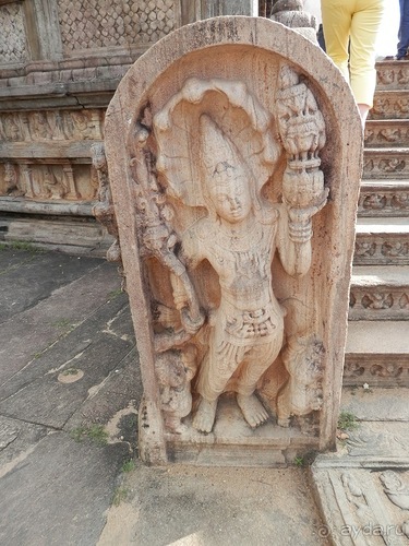 Шри-Ланка - первые впечатления