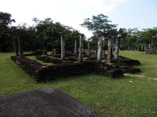 Шри-Ланка - первые впечатления