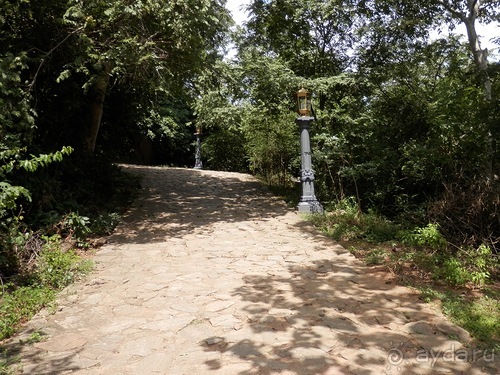 Шри-Ланка - первые впечатления