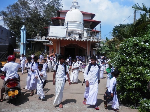 Шри-Ланка - первые впечатления