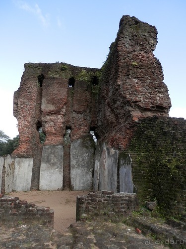 Шри-Ланка - первые впечатления