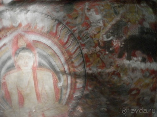 Шри-Ланка - первые впечатления