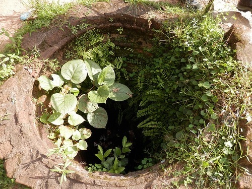 Шри-Ланка - первые впечатления