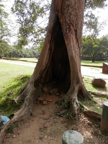 Шри-Ланка - первые впечатления
