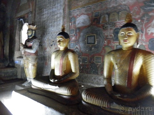 Шри-Ланка - первые впечатления