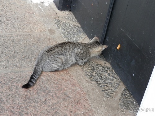 Шри-Ланка - первые впечатления