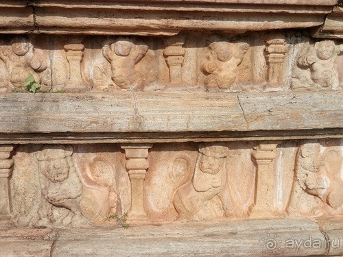 Шри-Ланка - первые впечатления