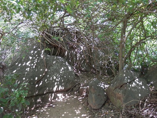 Шри-Ланка - первые впечатления