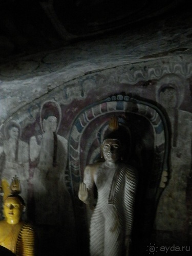 Шри-Ланка - первые впечатления