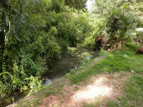 Шри-Ланка - первые впечатления