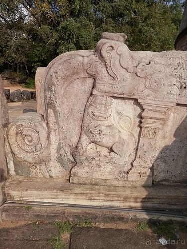 Шри-Ланка - первые впечатления