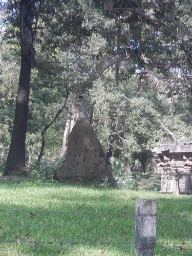 Шри-Ланка - первые впечатления