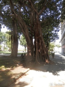 Неаполь - день первый