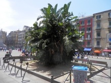 Неаполь - день первый