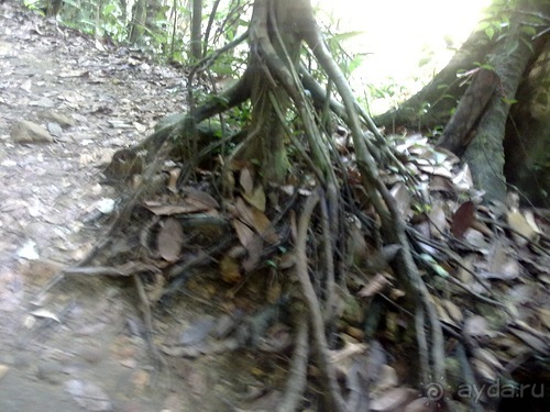 Таиланд - на море