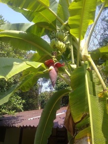 Таиланд - на море