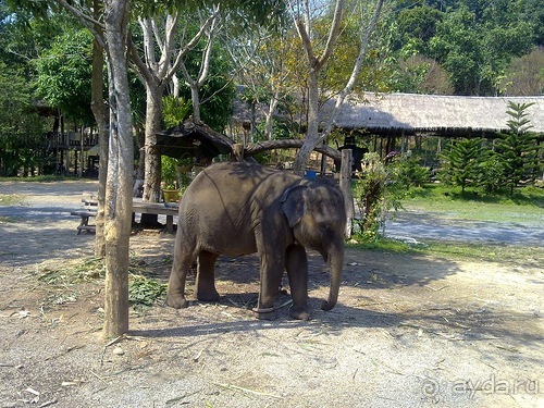 Таиланд - на море