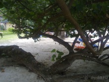 Таиланд - на море