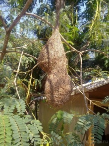 Таиланд - на море